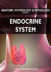 Endocrine System
