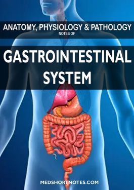 Gastrointestinal System