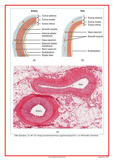 mol-cell-bio-homepage-600x400-2_Page_047