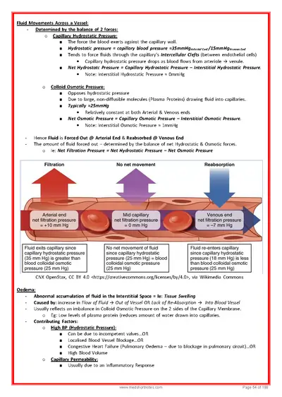 mol-cell-bio-homepage-600x400-2_Page_055